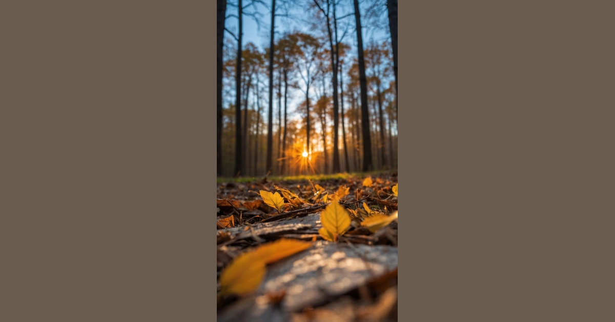 9 Stunning Nature Wallpaper Ideas for Every Device